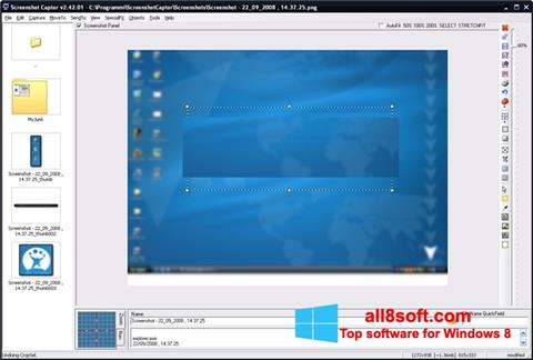 スクリーンショット ScreenShot Windows 8版