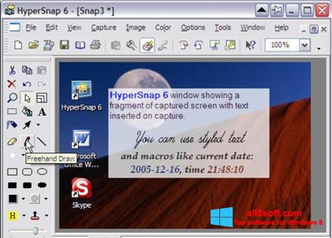 スクリーンショット HyperSnap Windows 8版