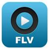 FLV Player Windows 8版