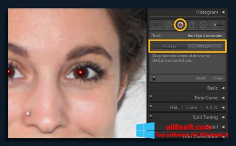 スクリーンショット Red Eye Remover Windows 8版