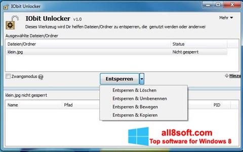 スクリーンショット IObit Unlocker Windows 8版