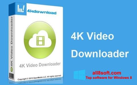 スクリーンショット 4K Video Downloader Windows 8版