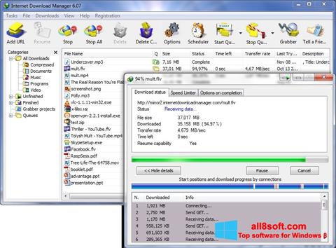 スクリーンショット Internet Download Manager Windows 8版
