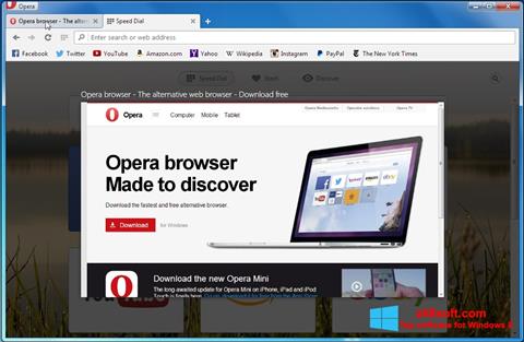スクリーンショット Opera Developer Windows 8版