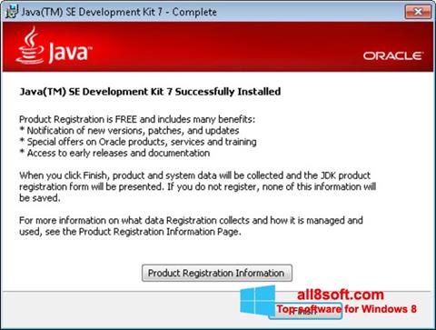 スクリーンショット Java Windows 8版