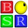 BSR Screen Recorder Windows 8版