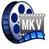MKV Player Windows 8版