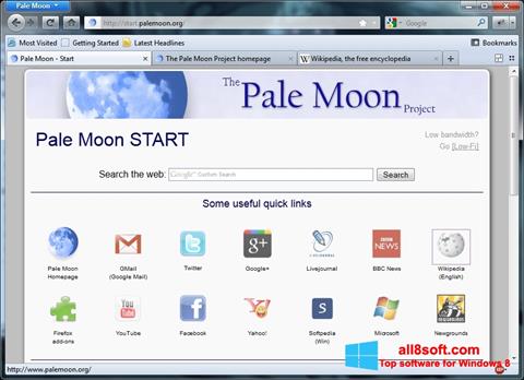 スクリーンショット Pale Moon Windows 8版