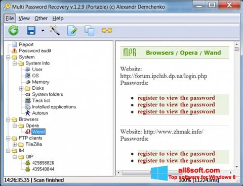 スクリーンショット Multi Password Recovery Windows 8版