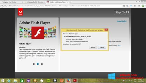 スクリーンショット Adobe Flash Player Windows 8版