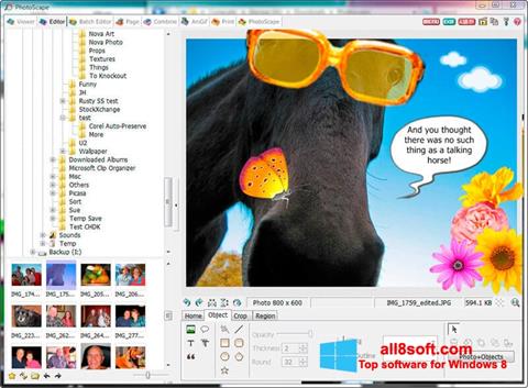 スクリーンショット PhotoScape Windows 8版