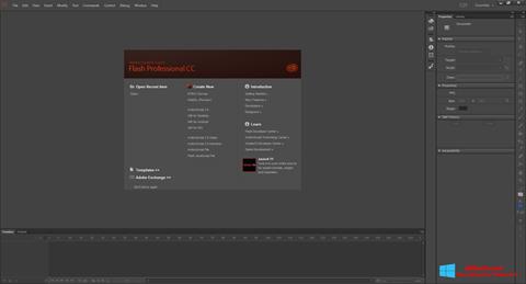 スクリーンショット Adobe Flash Professional Windows 8版