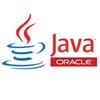 Java Runtime Environment Windows 8版