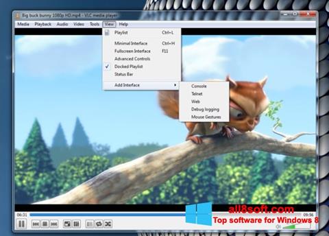 スクリーンショット VLC Media Player Windows 8版